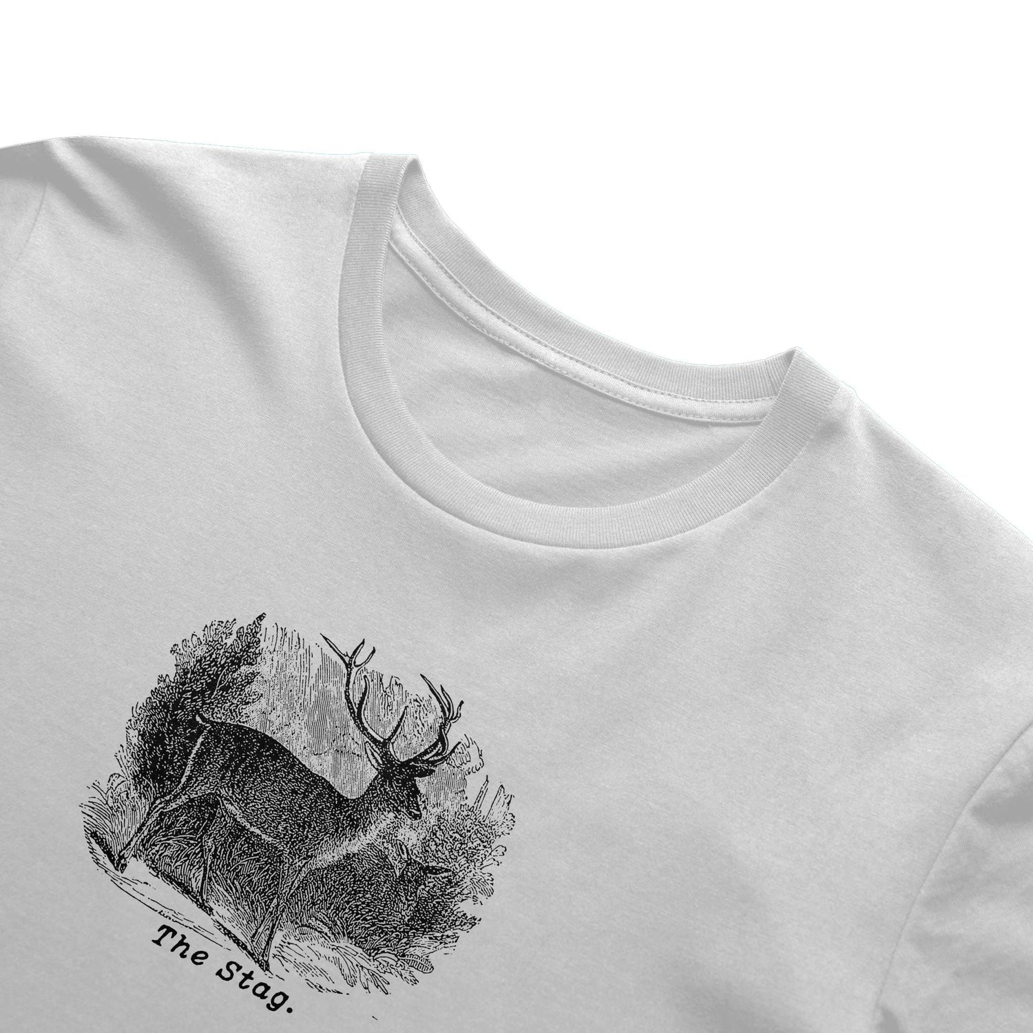 Cabinet 002: À Rebours