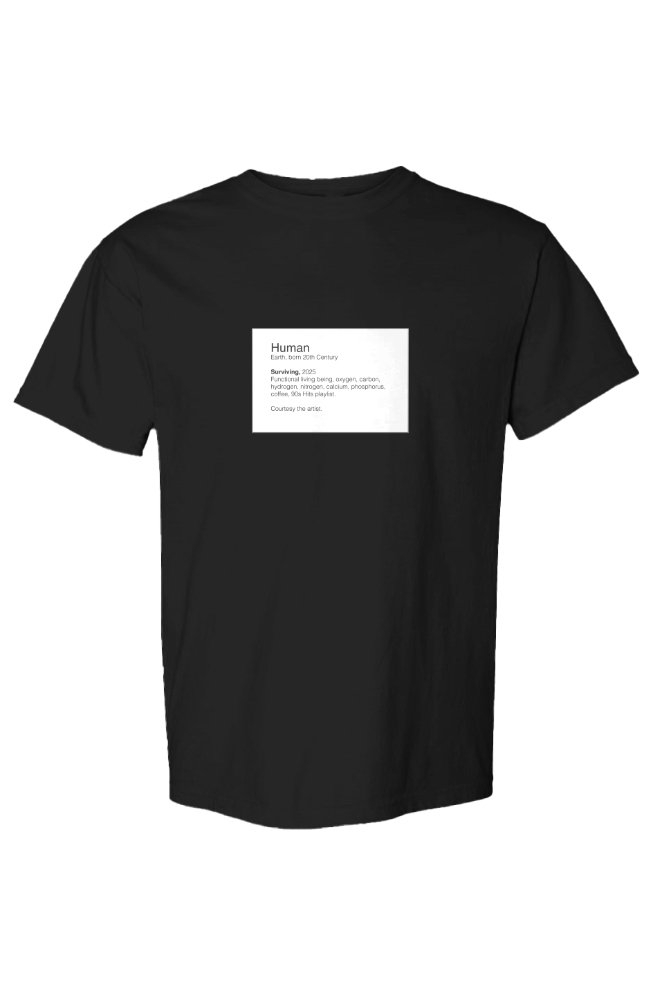 Surviving, 2026 Museum Label Solid T-shirt