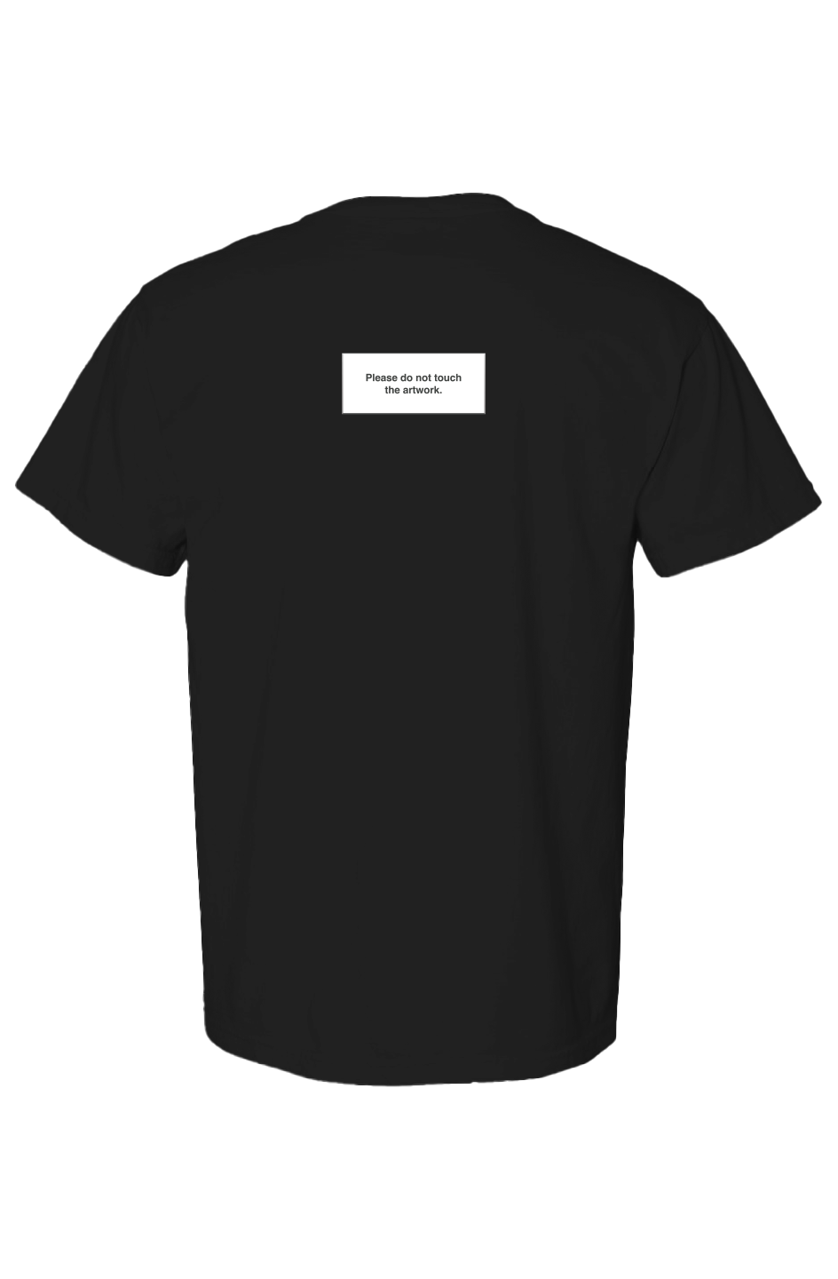 Surviving, 2026 Museum Label Solid T-shirt