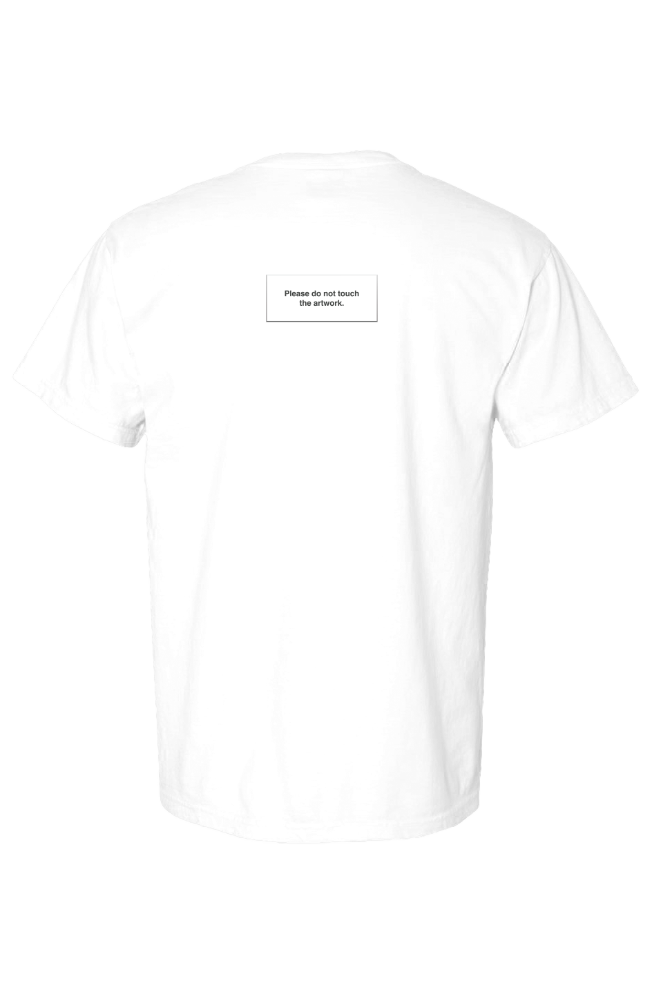 Surviving, 2026 Museum Label Solid T-shirt