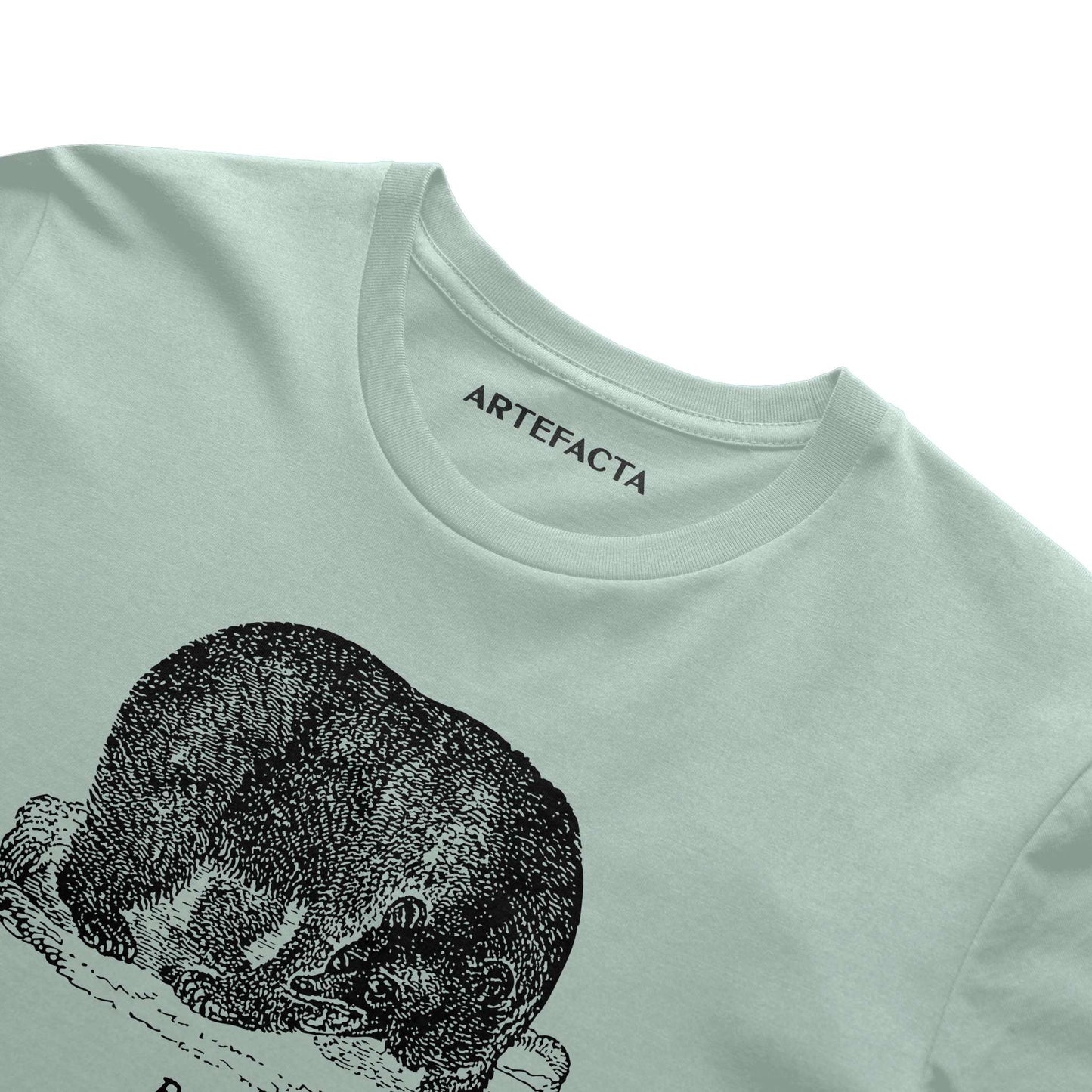 Bear Summer T Shirt - Black Etching V2