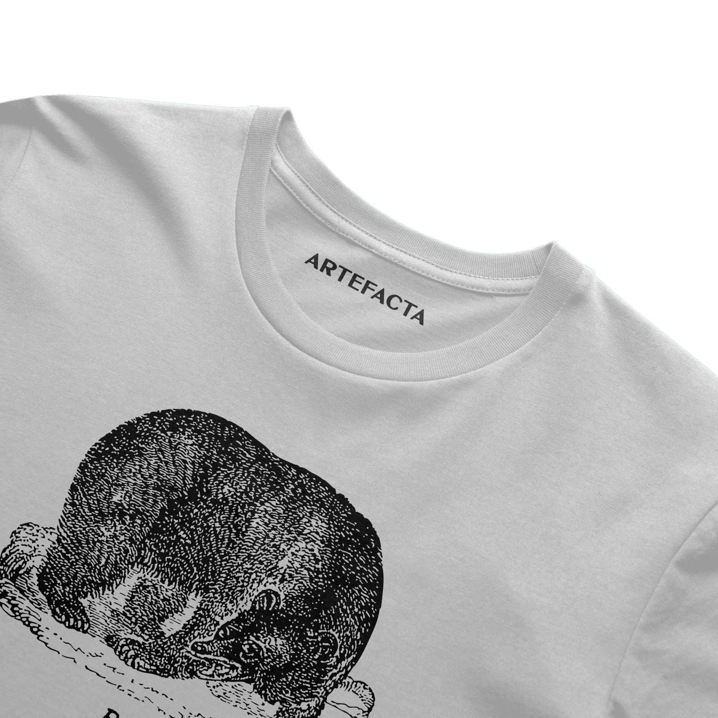 Bear Summer T Shirt - Black Etching V2